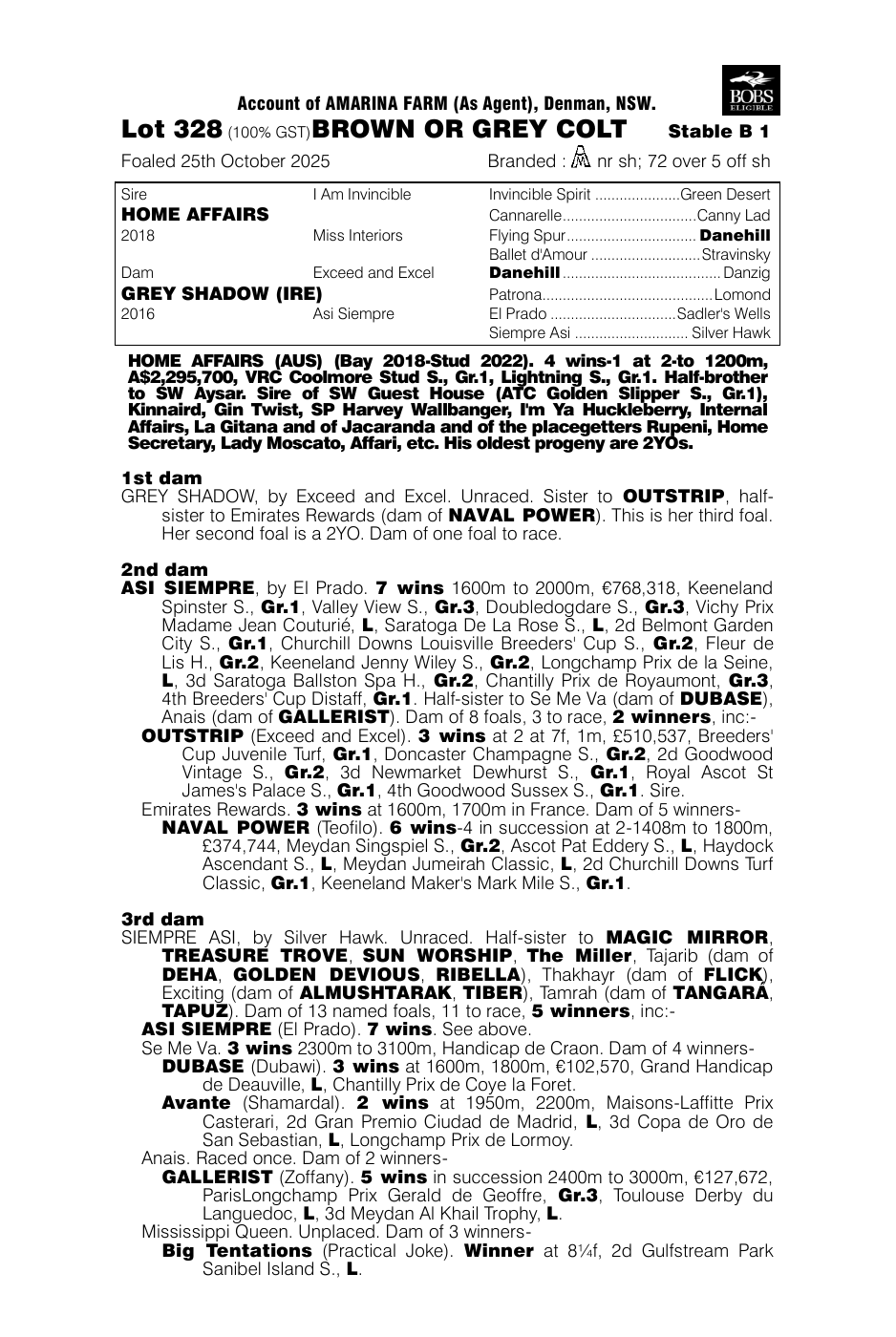 Pedigree - Lot 328