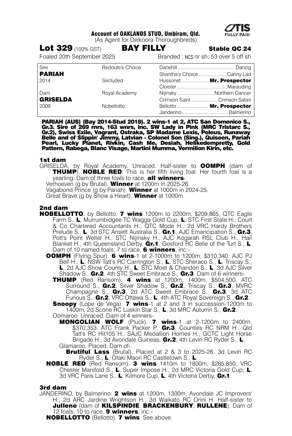 Pedigree - Lot 329
