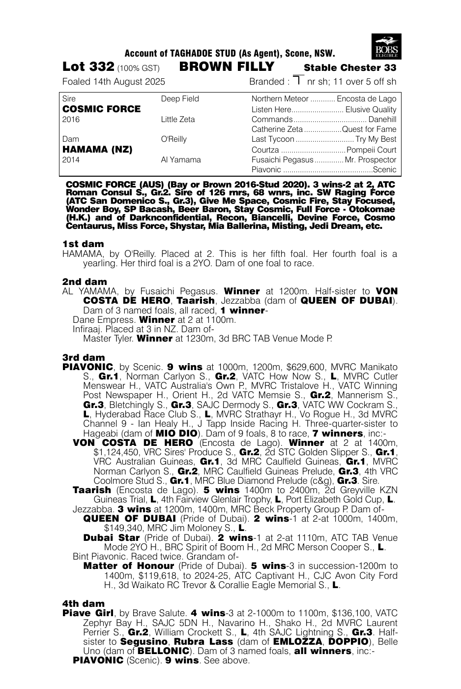 Pedigree - Lot 332