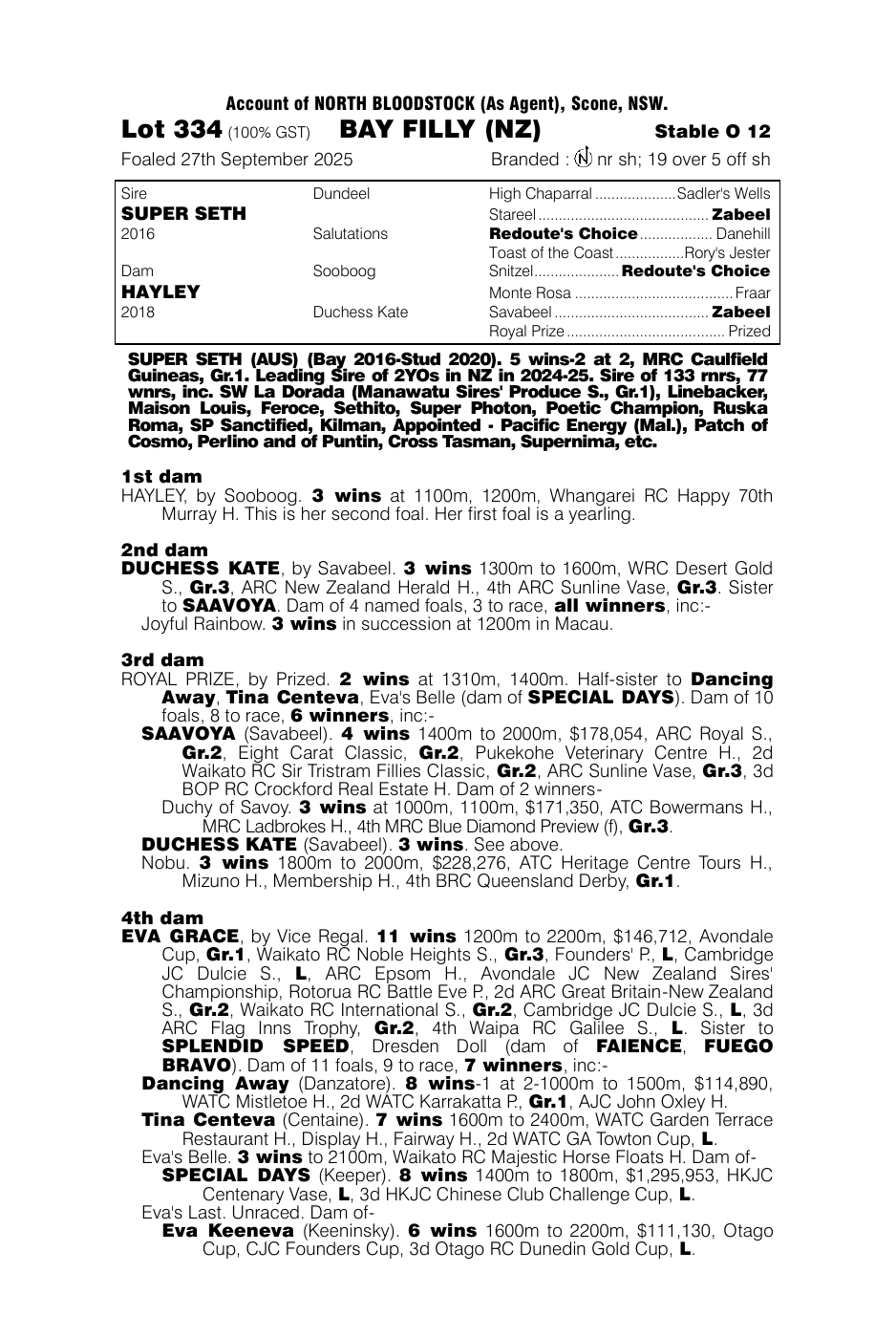 Pedigree - Lot 334