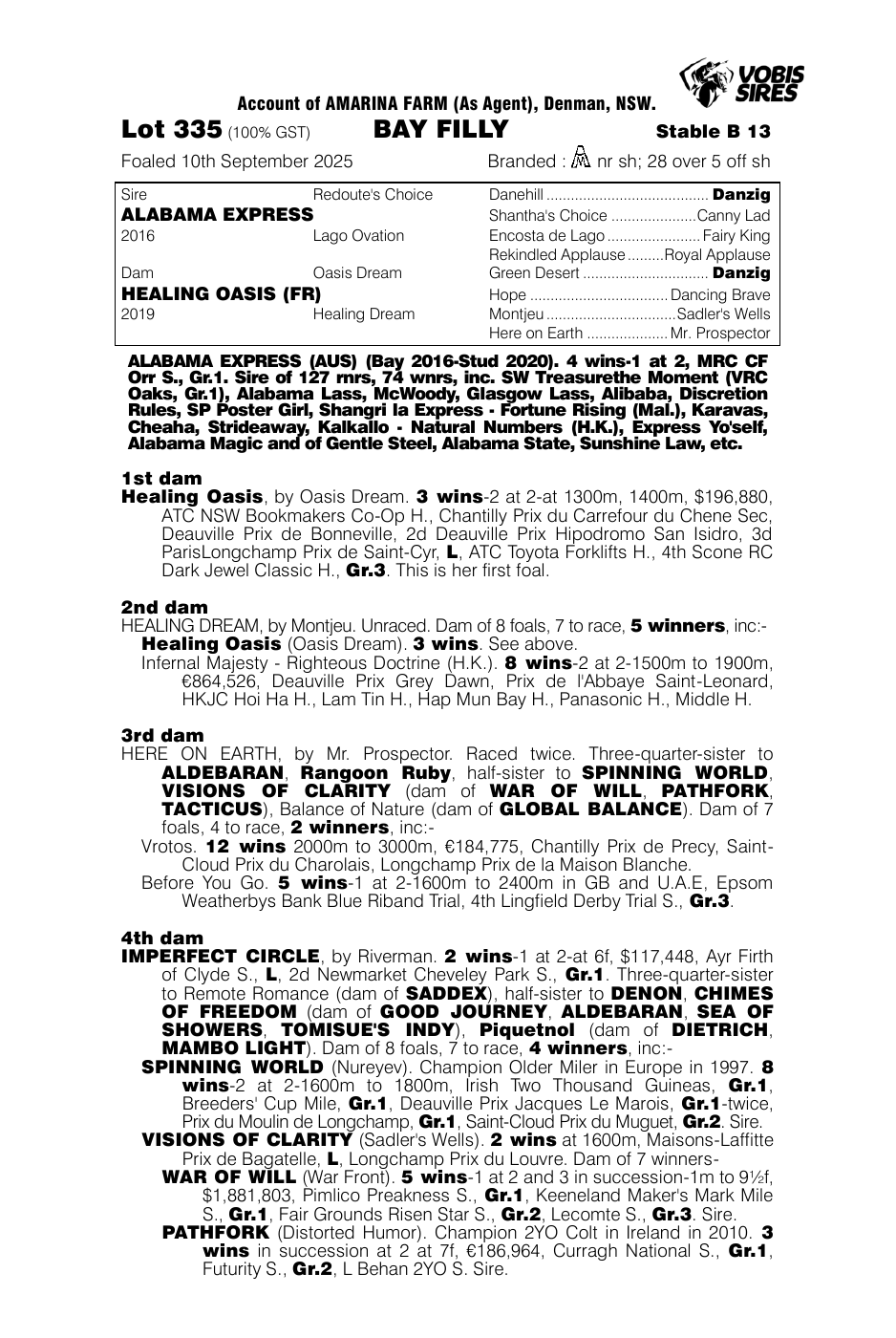 Pedigree - Lot 335