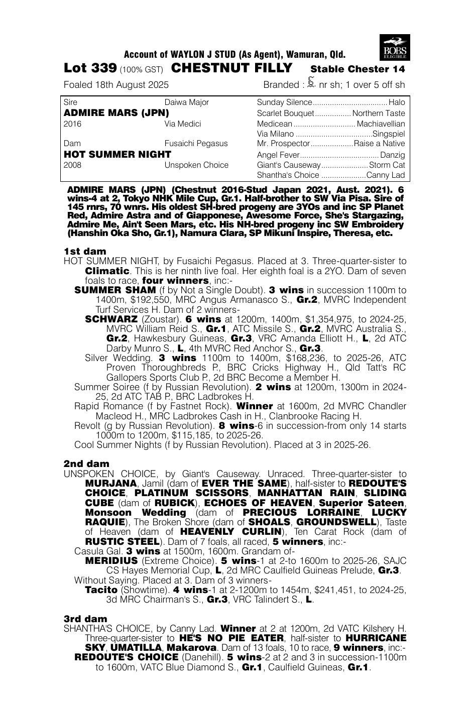 Pedigree - Lot 339