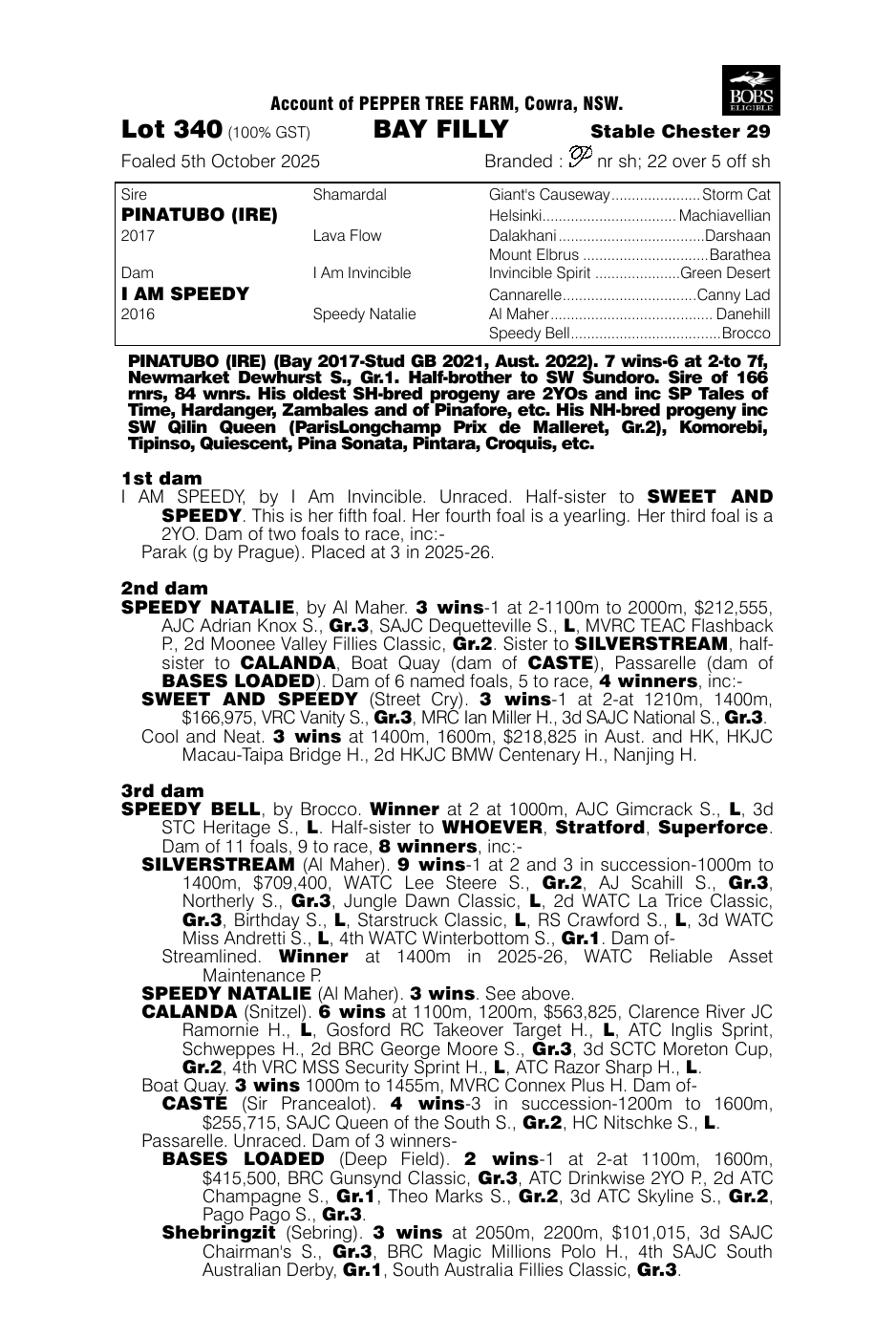 Pedigree - Lot 340