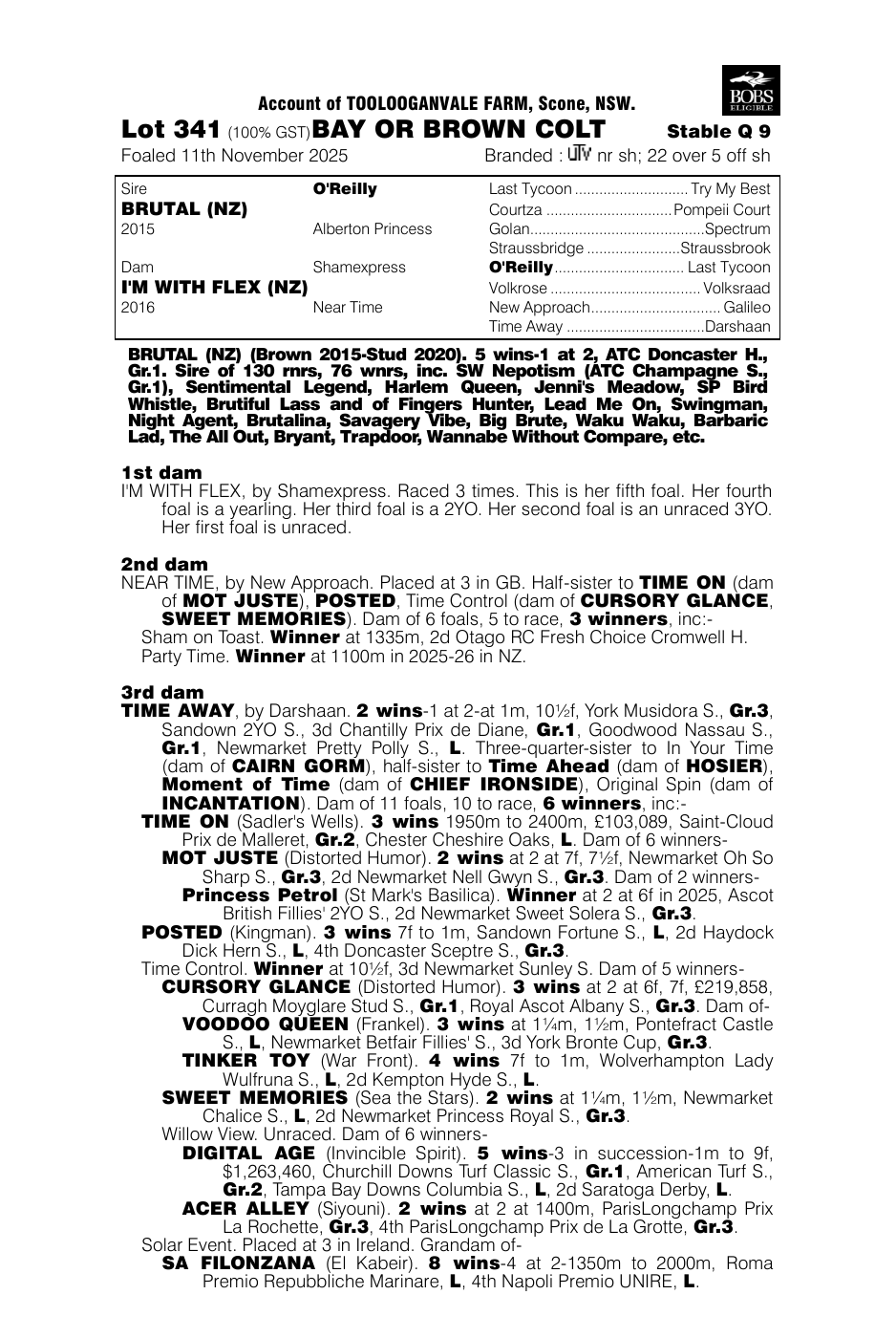 Pedigree - Lot 341