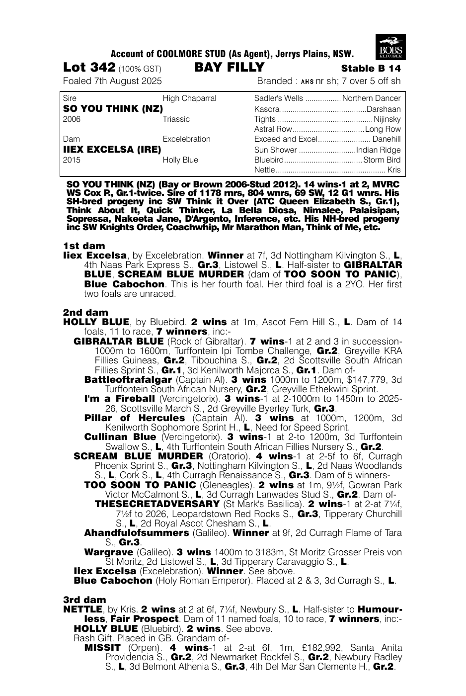 Pedigree - Lot 342