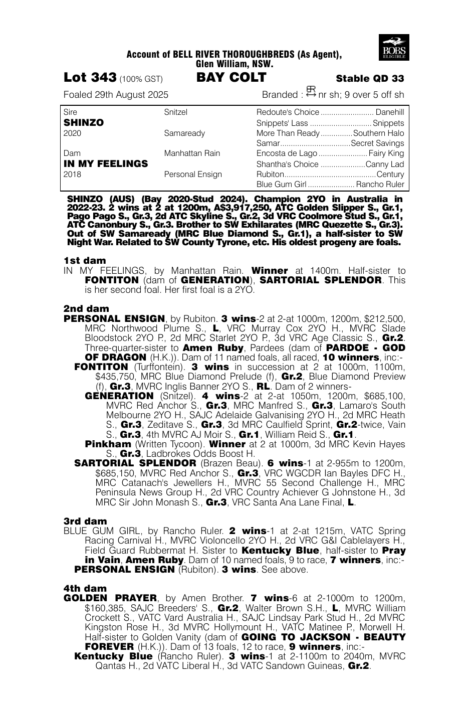 Pedigree - Lot 343