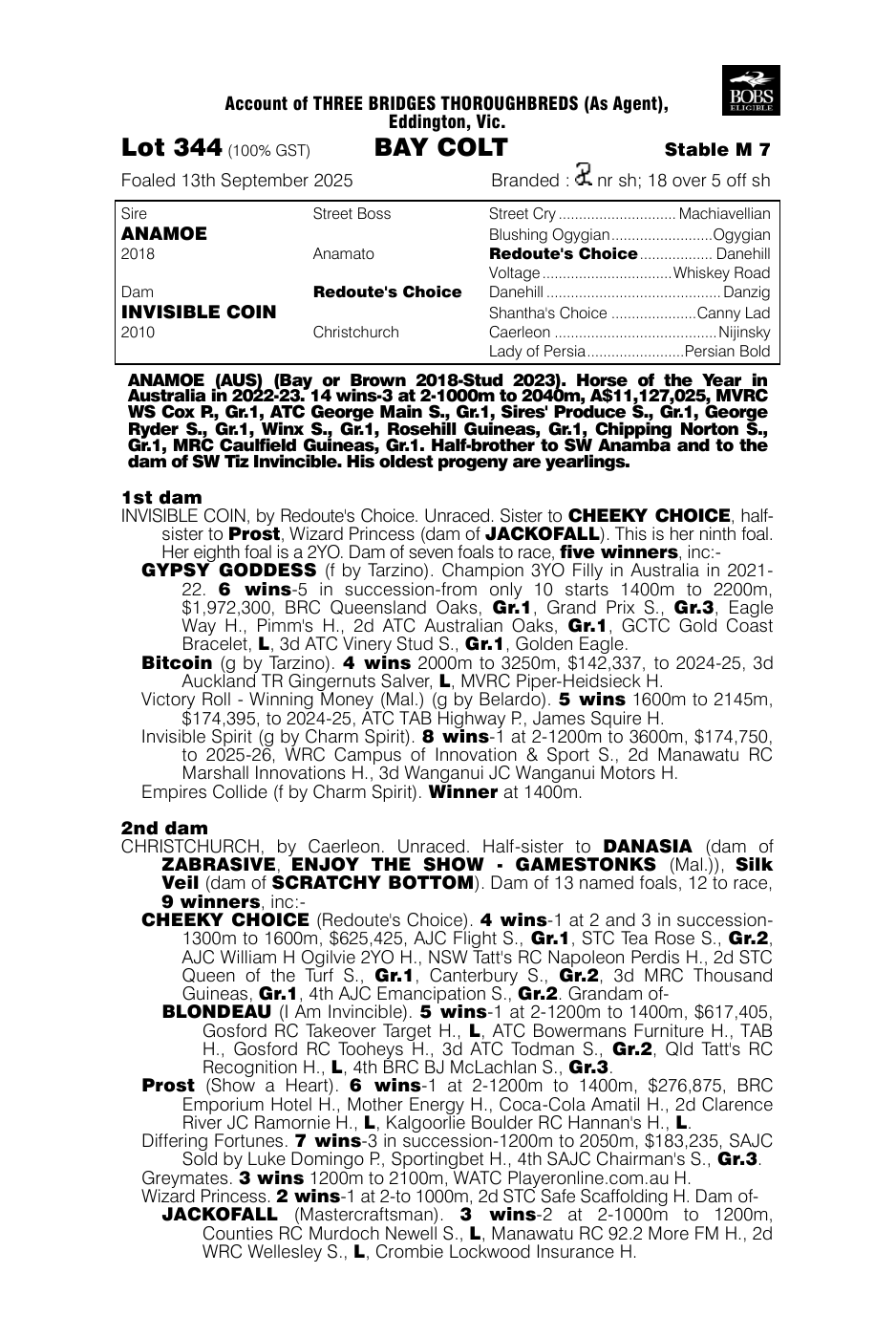 Pedigree - Lot 344