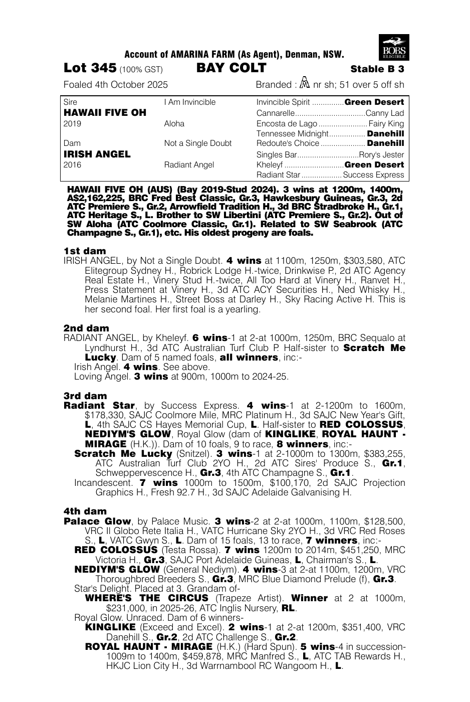 Pedigree - Lot 345