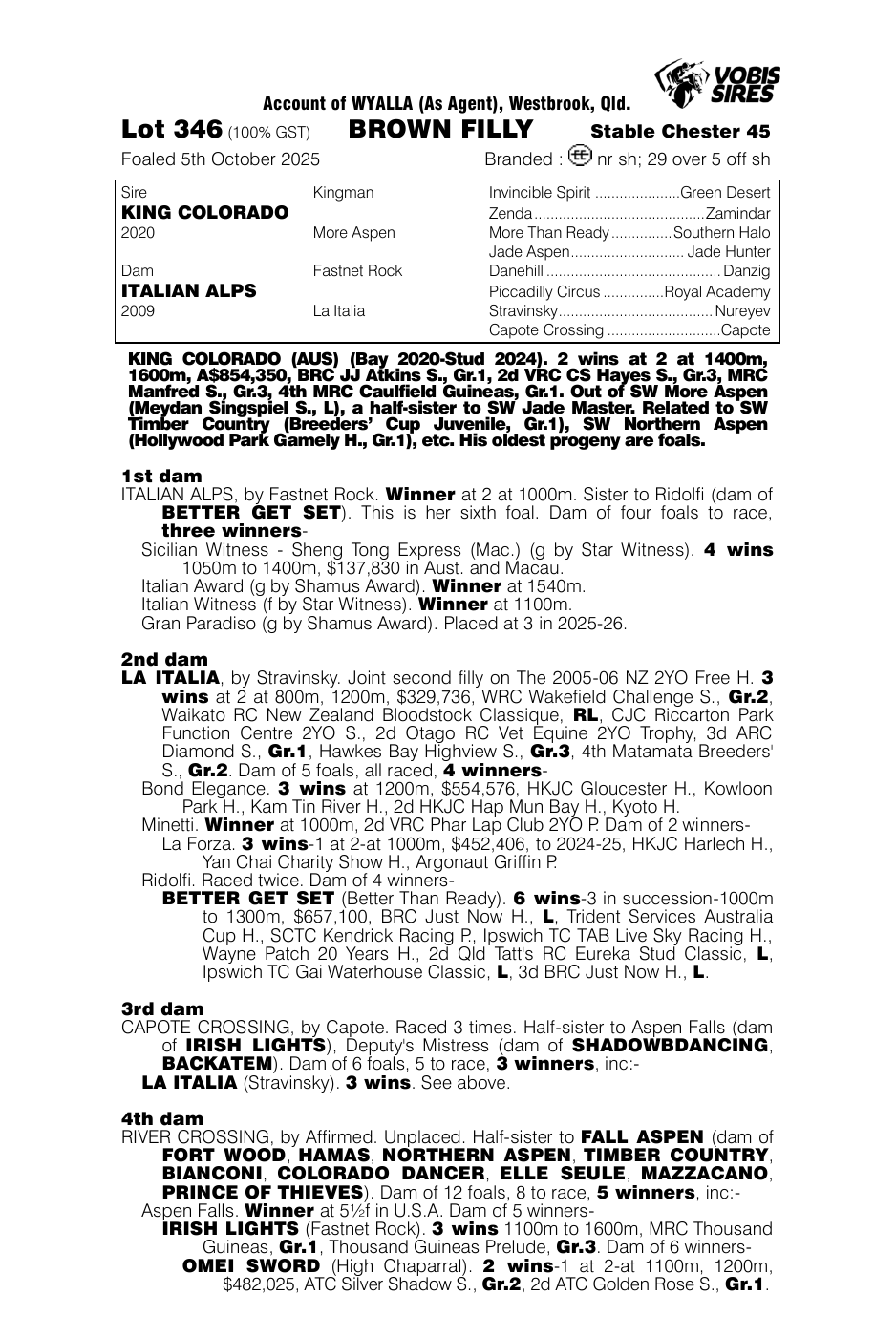 Pedigree - Lot 346