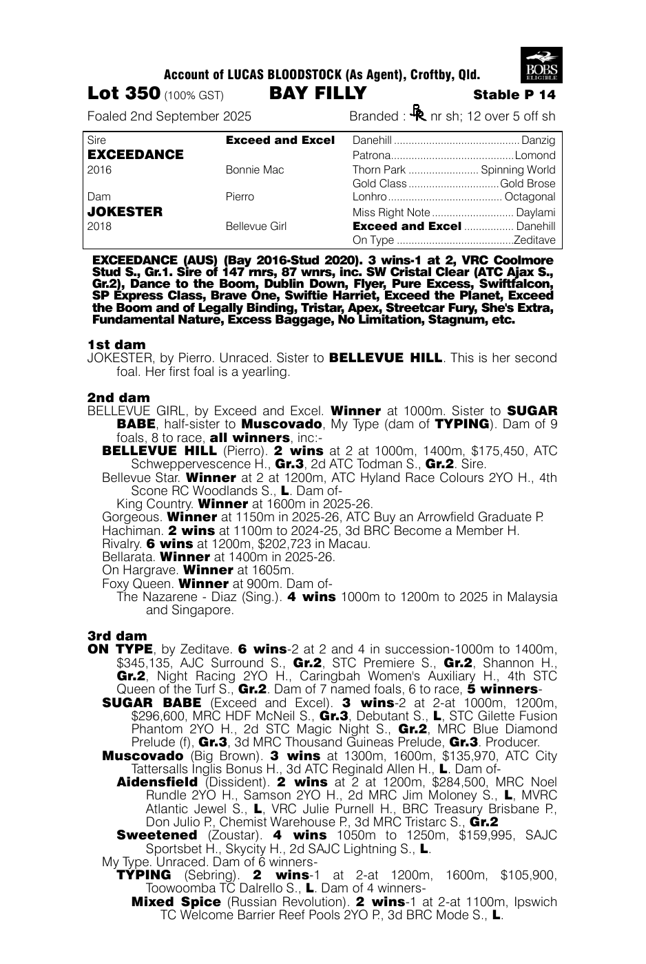 Pedigree - Lot 350