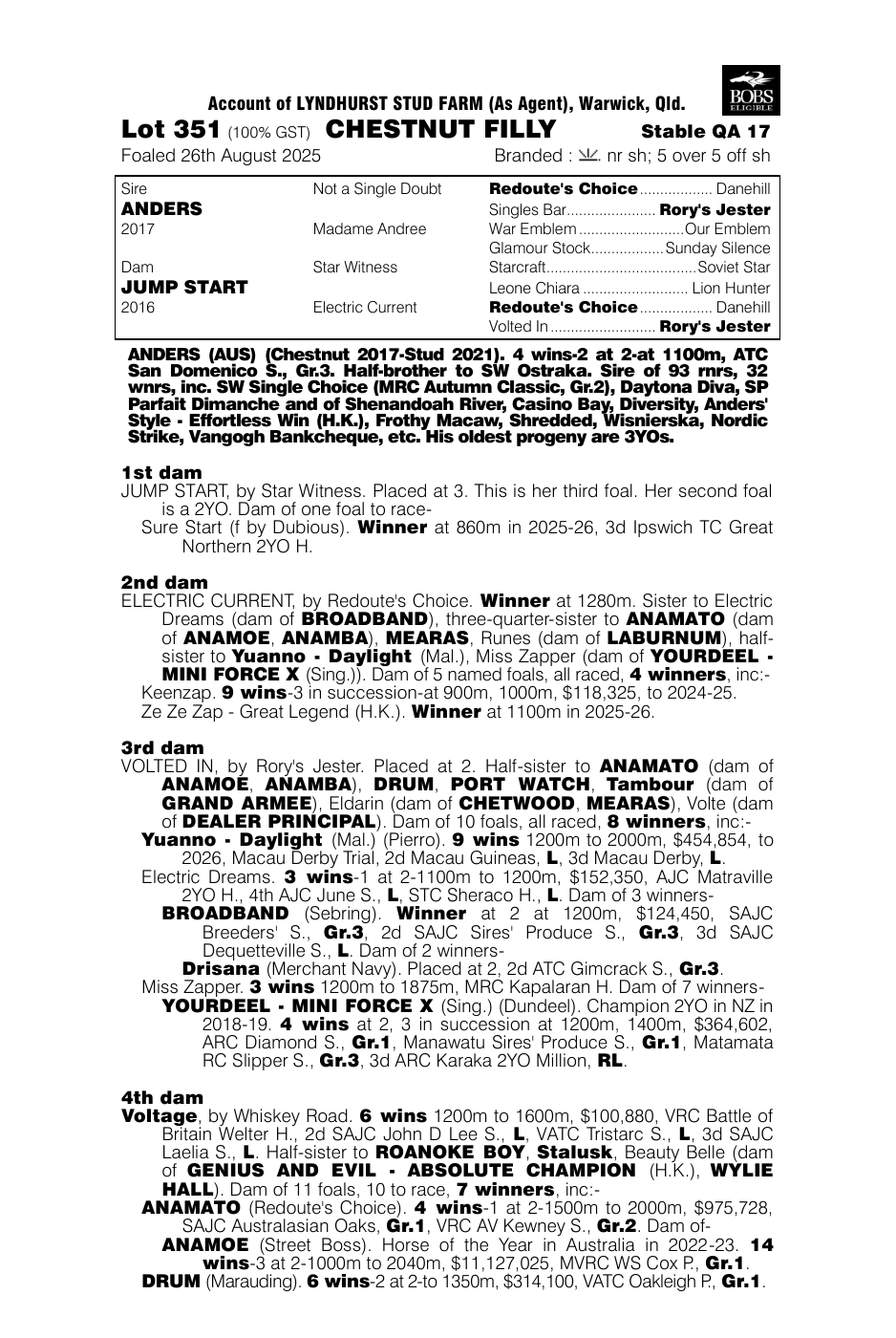 Pedigree - Lot 351