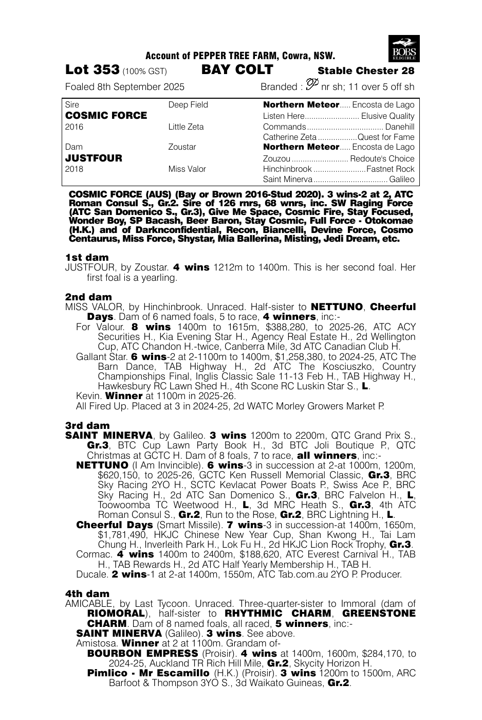 Pedigree - Lot 353