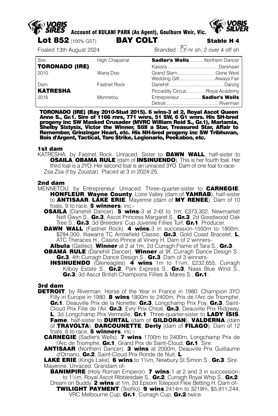 Pedigree - Lot 852
