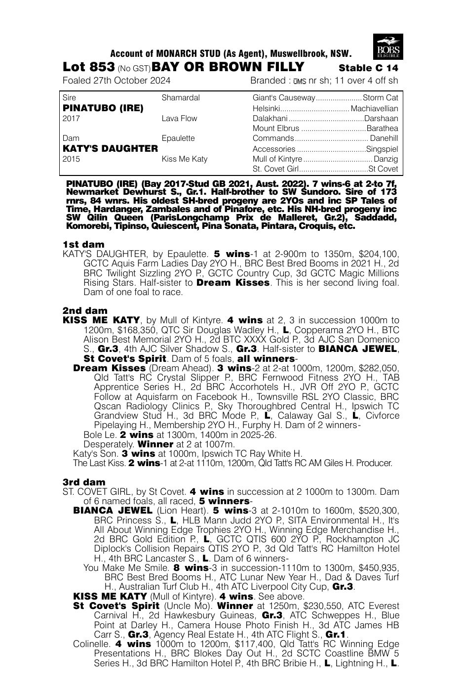 Pedigree - Lot 853