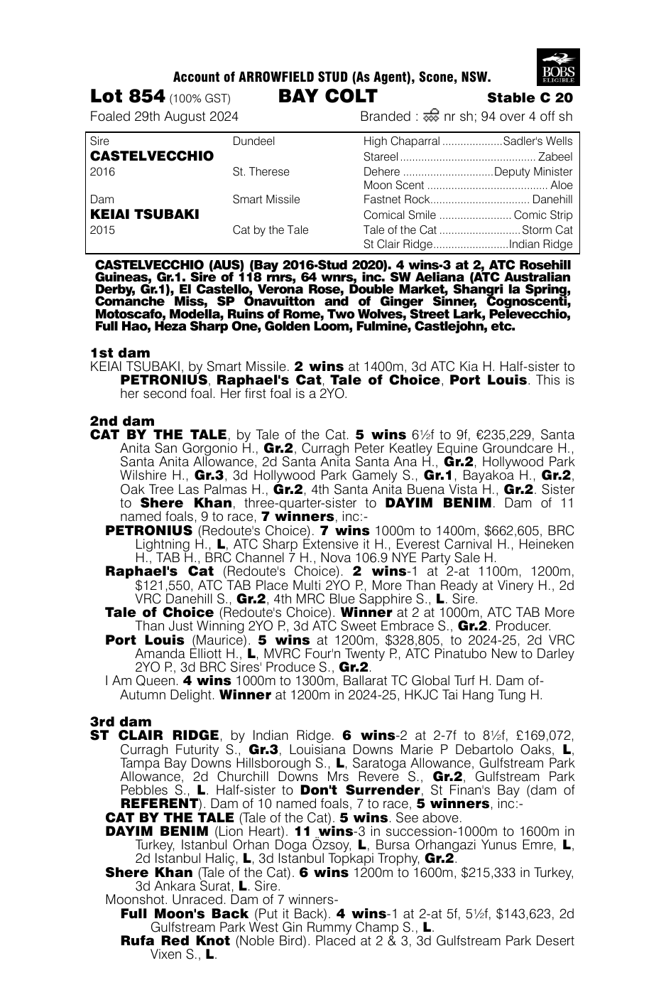 Pedigree - Lot 854