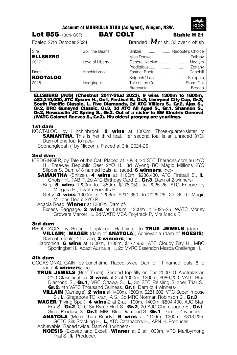 Pedigree - Lot 856