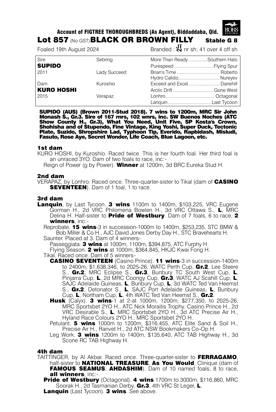 Pedigree - Lot 857