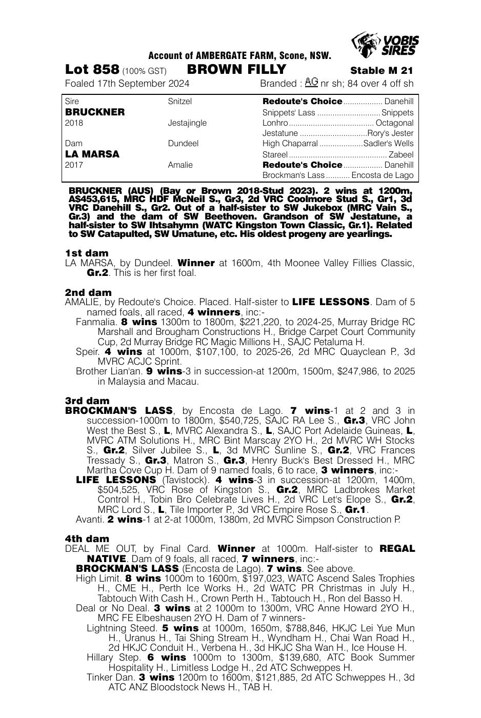 Pedigree - Lot 858