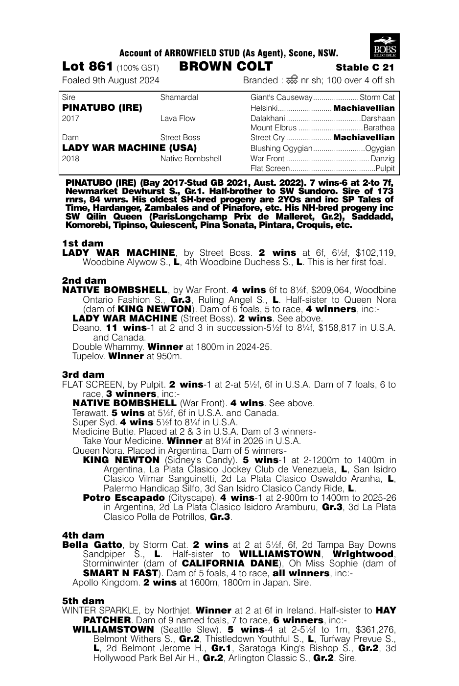 Pedigree - Lot 861