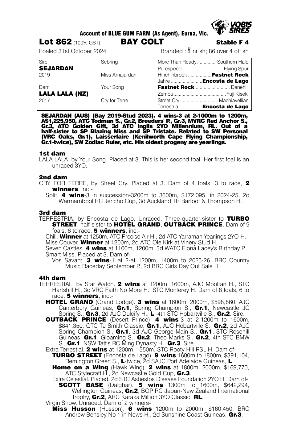 Pedigree - Lot 862