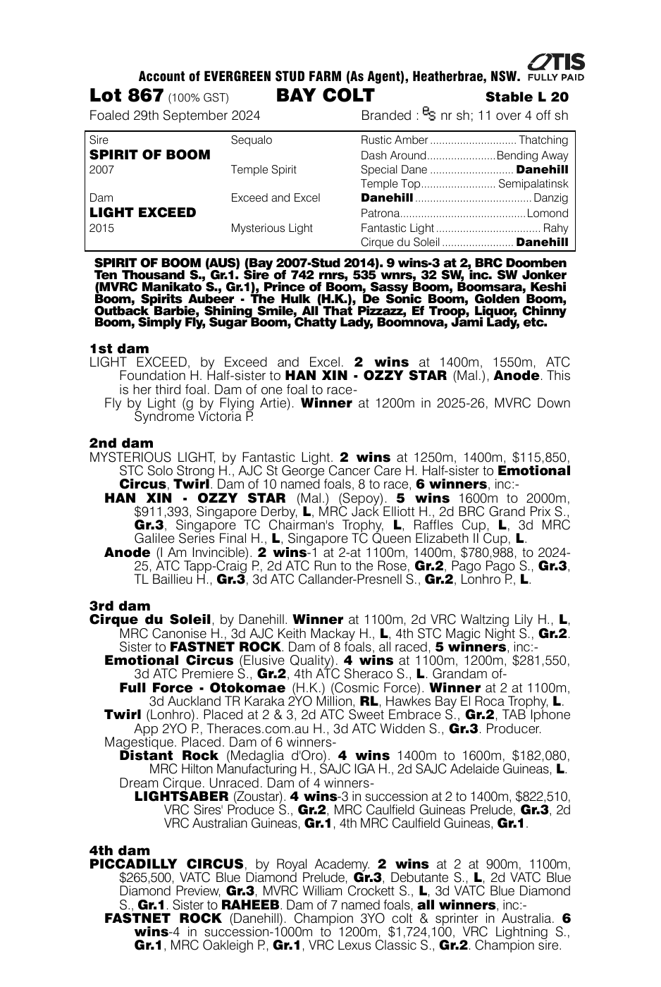 Pedigree - Lot 867