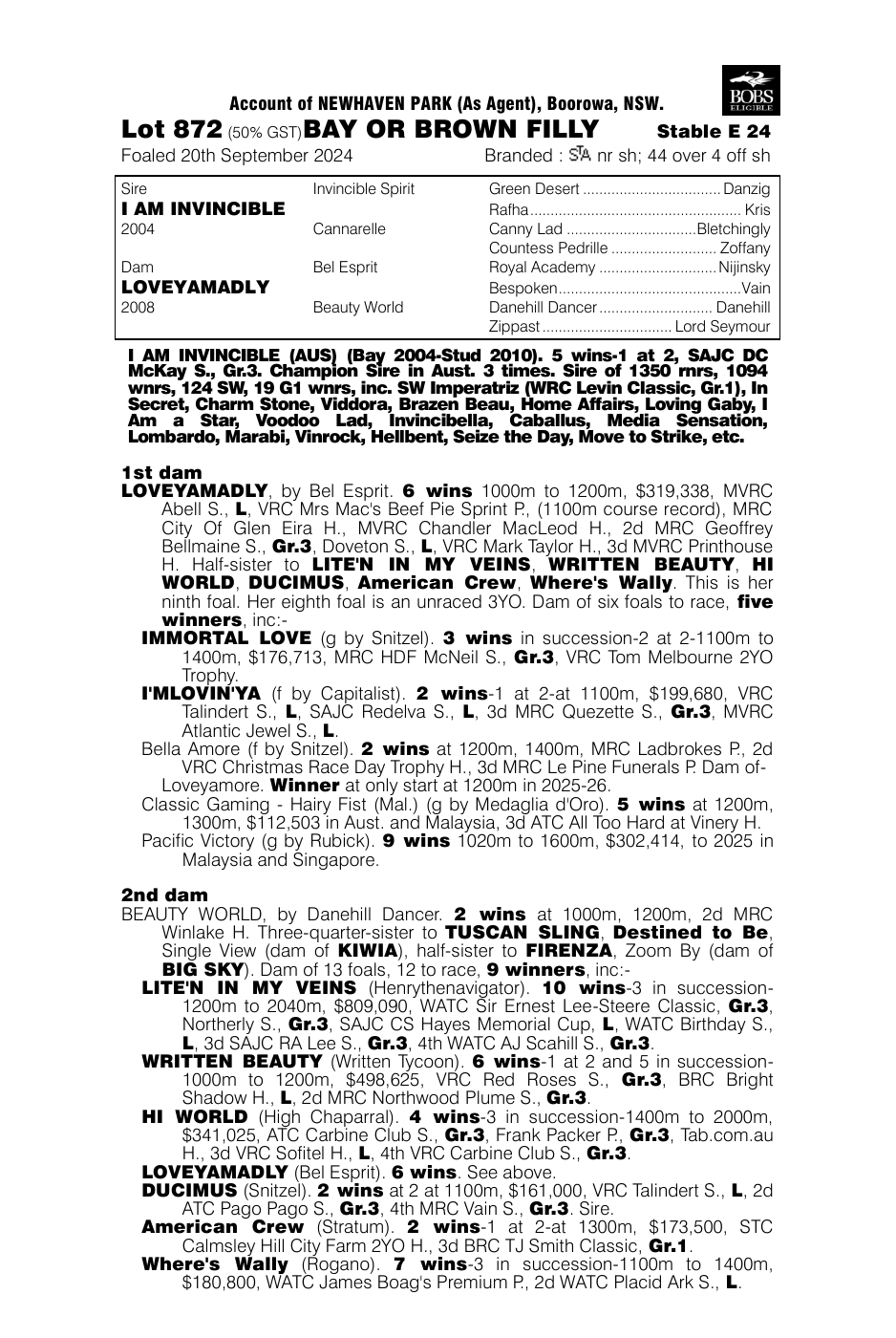 Pedigree - Lot 872