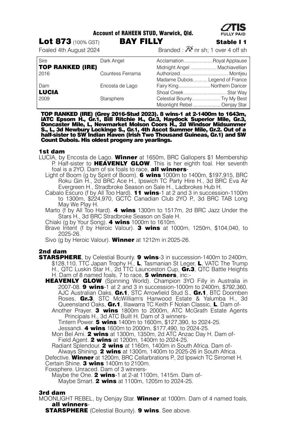 Pedigree - Lot 873