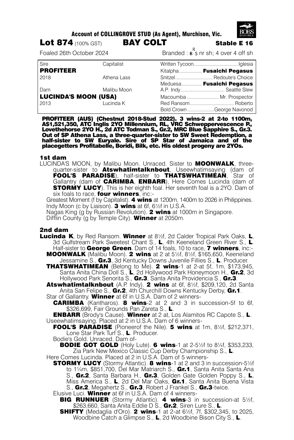 Pedigree - Lot 874