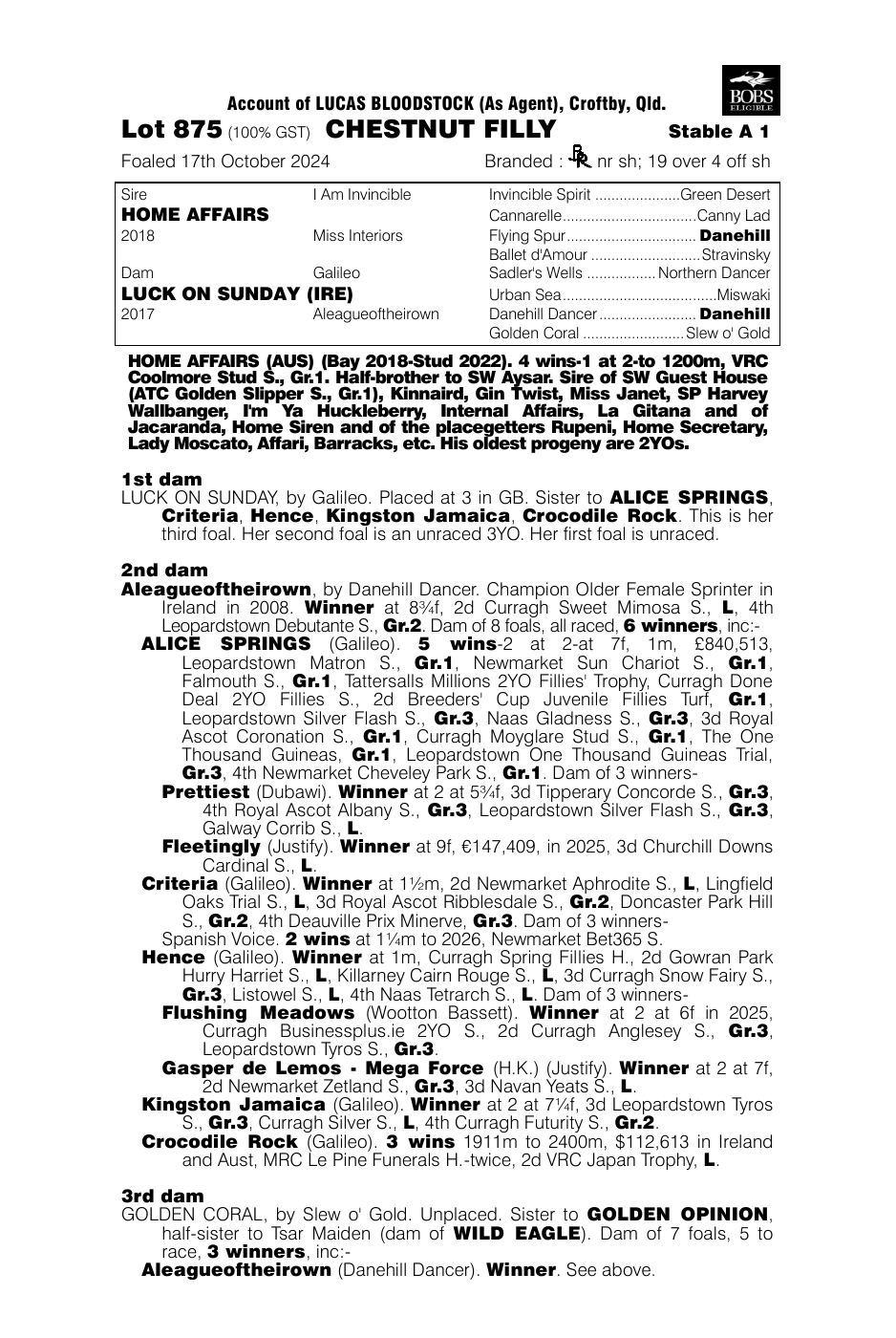Pedigree - Lot 875