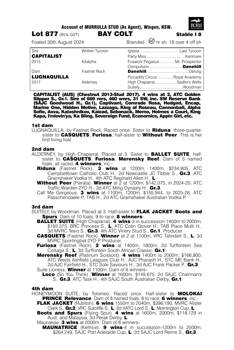 Pedigree - Lot 877