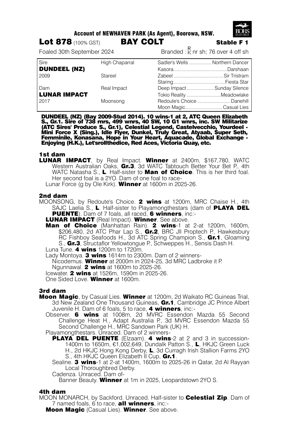 Pedigree - Lot 878