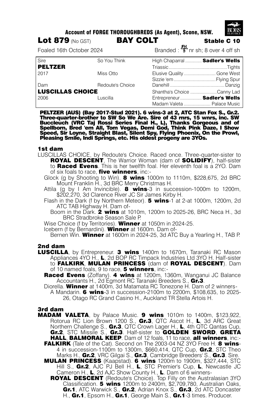 Pedigree - Lot 879