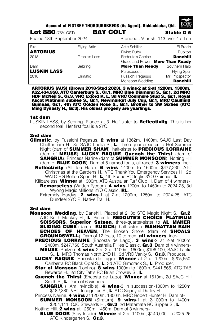 Pedigree - Lot 880