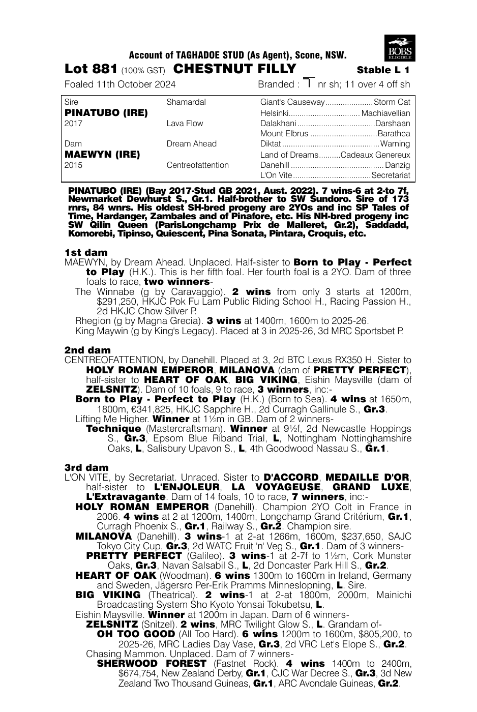 Pedigree - Lot 881