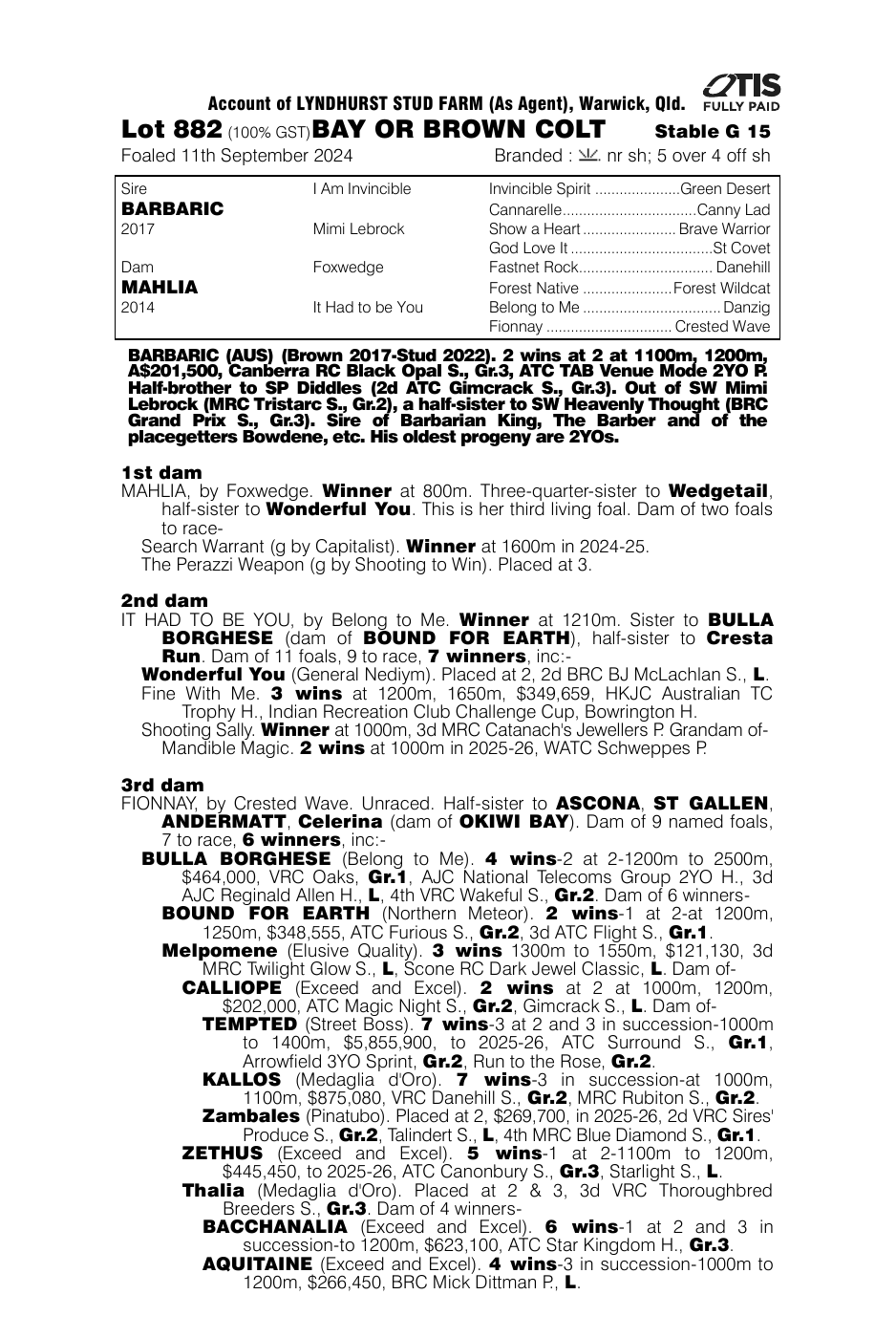 Pedigree - Lot 882