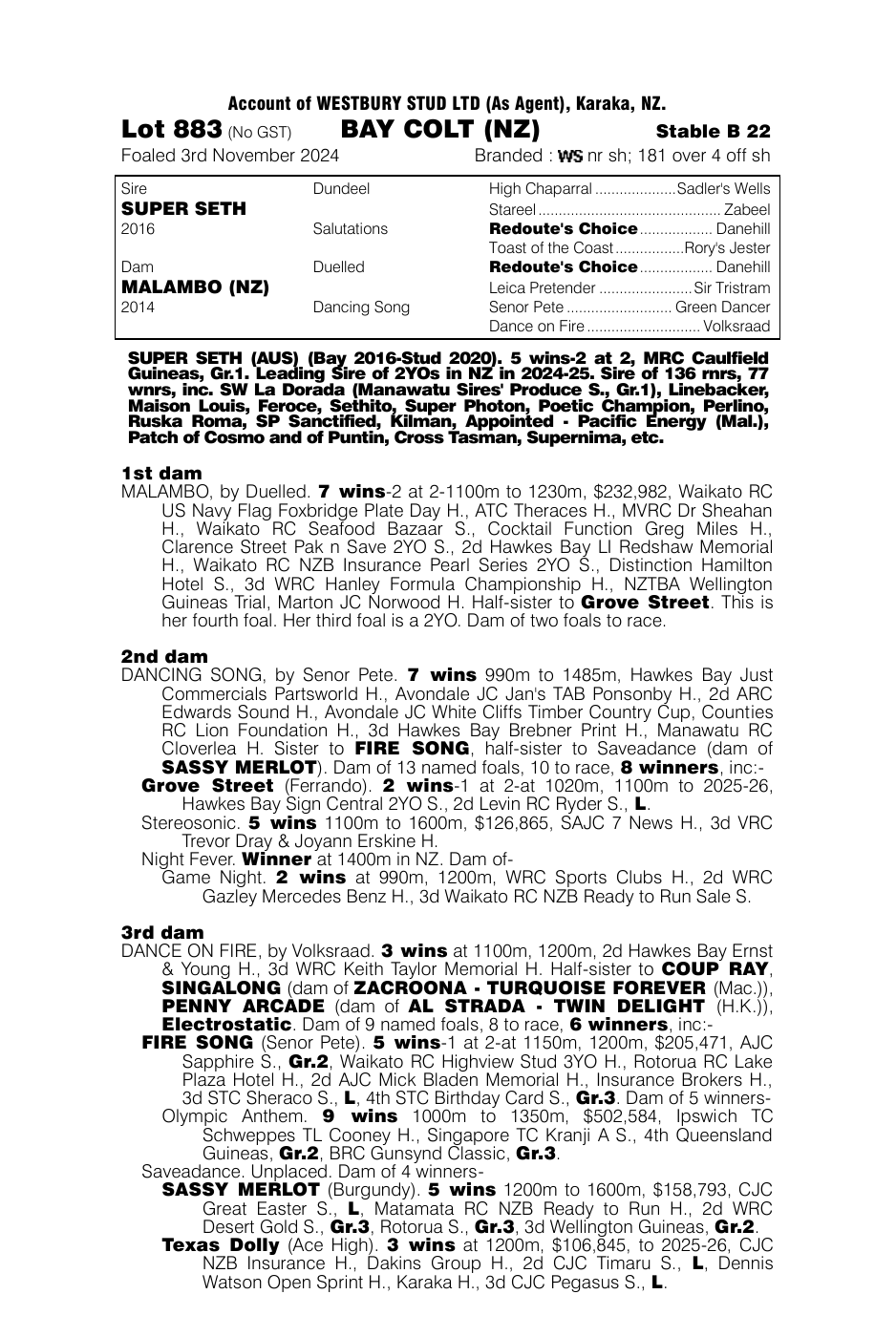 Pedigree - Lot 883