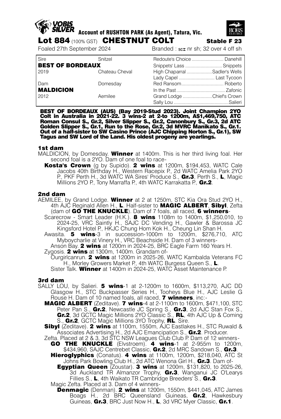 Pedigree - Lot 884