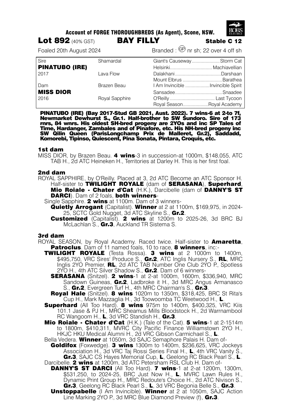 Pedigree - Lot 892
