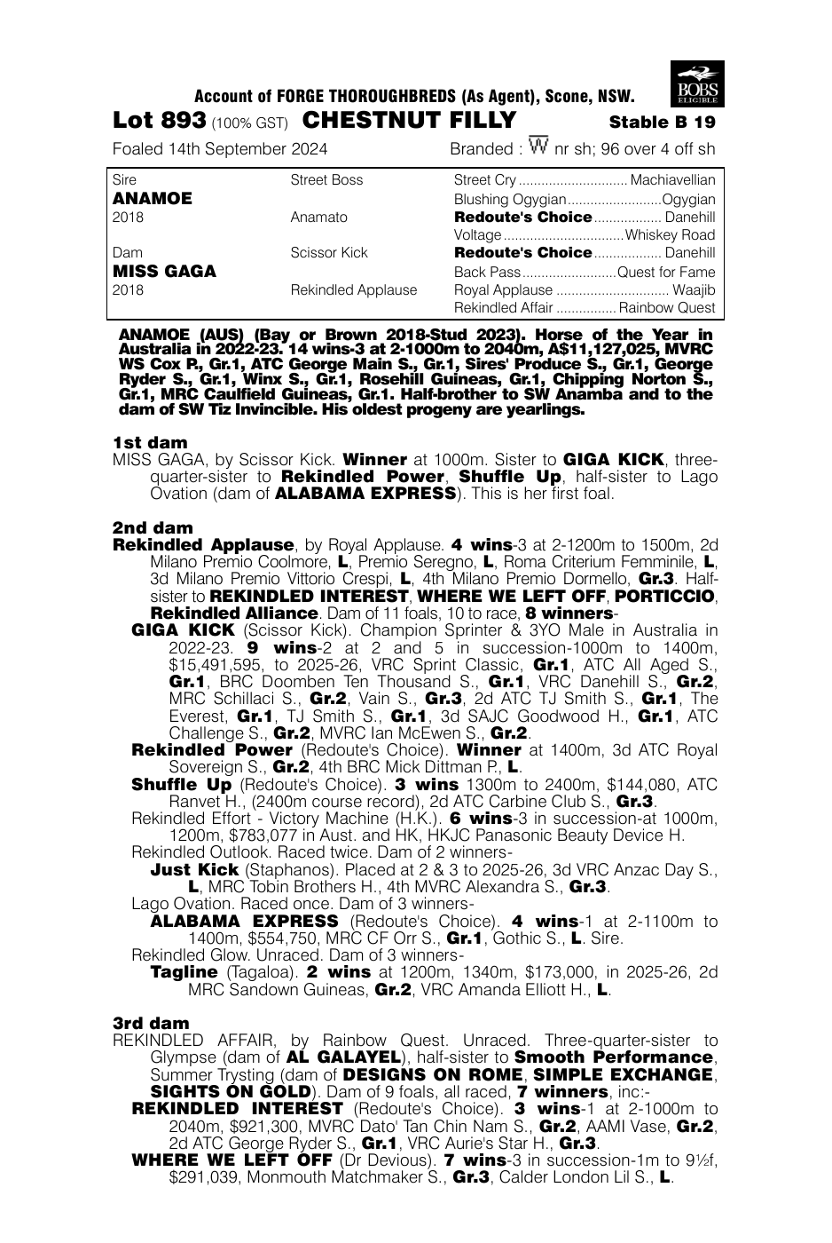Pedigree - Lot 893
