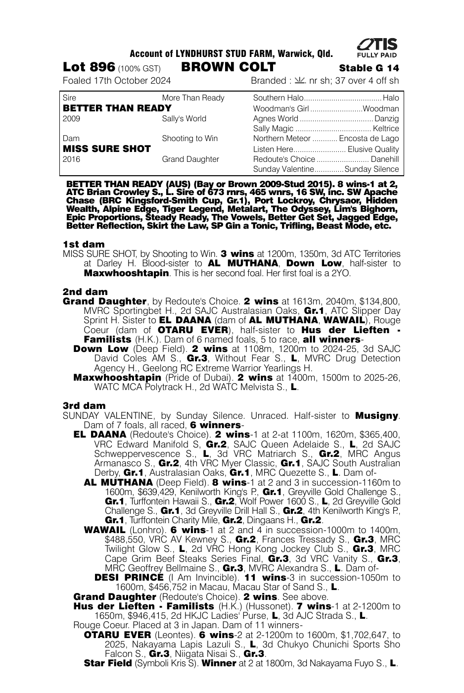 Pedigree - Lot 896
