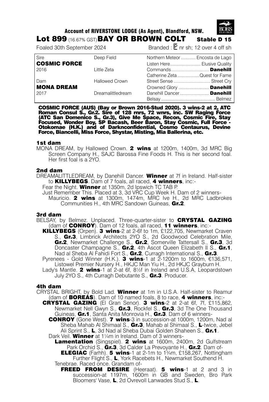 Pedigree - Lot 899
