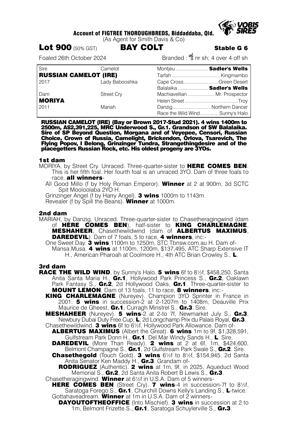 Pedigree - Lot 900