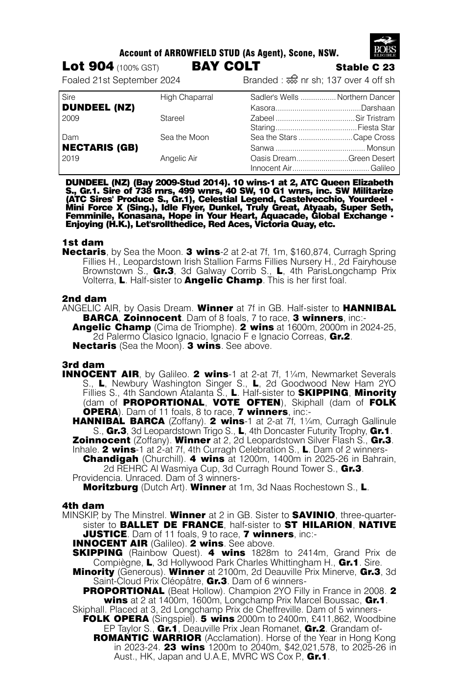 Pedigree - Lot 904