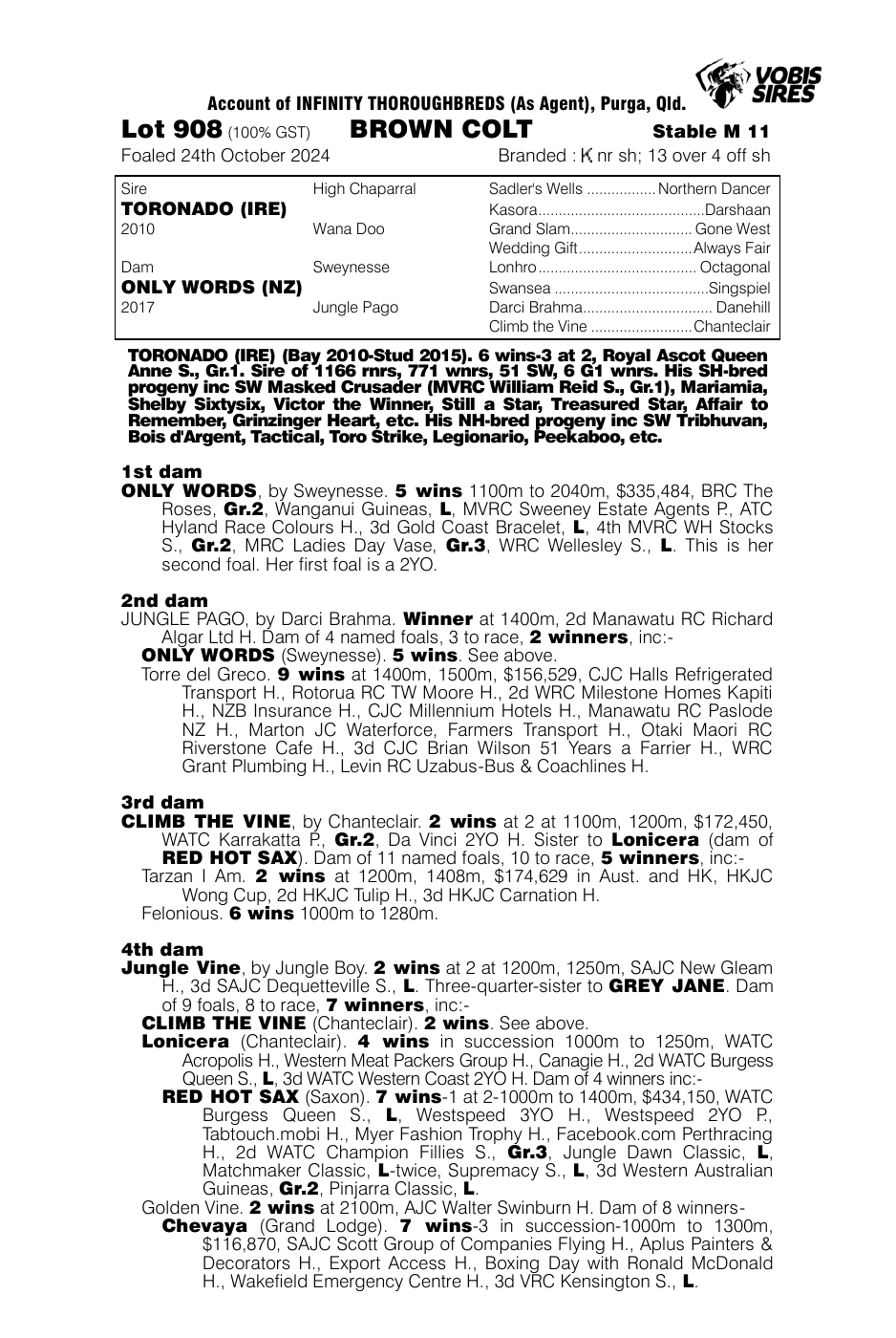 Pedigree - Lot 908