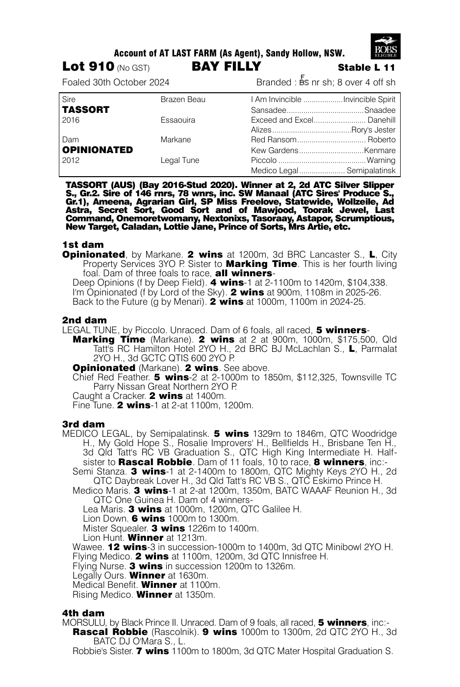 Pedigree - Lot 910