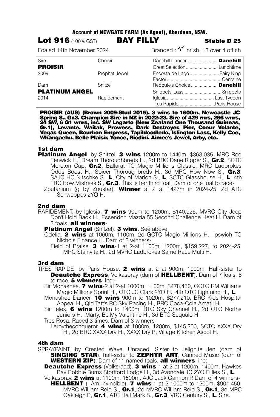 Pedigree - Lot 916