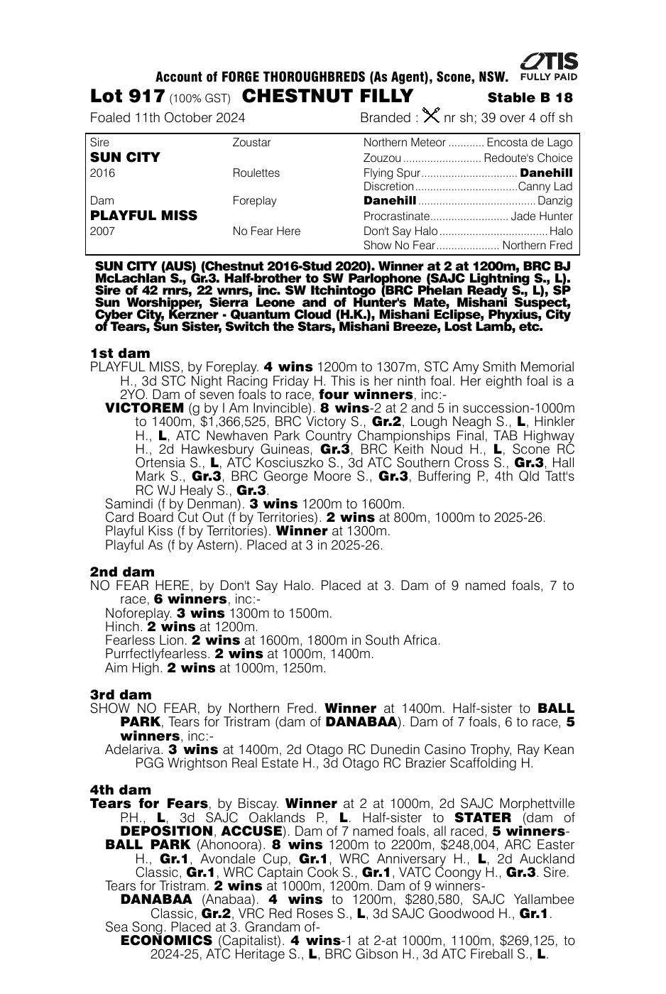 Pedigree - Lot 917