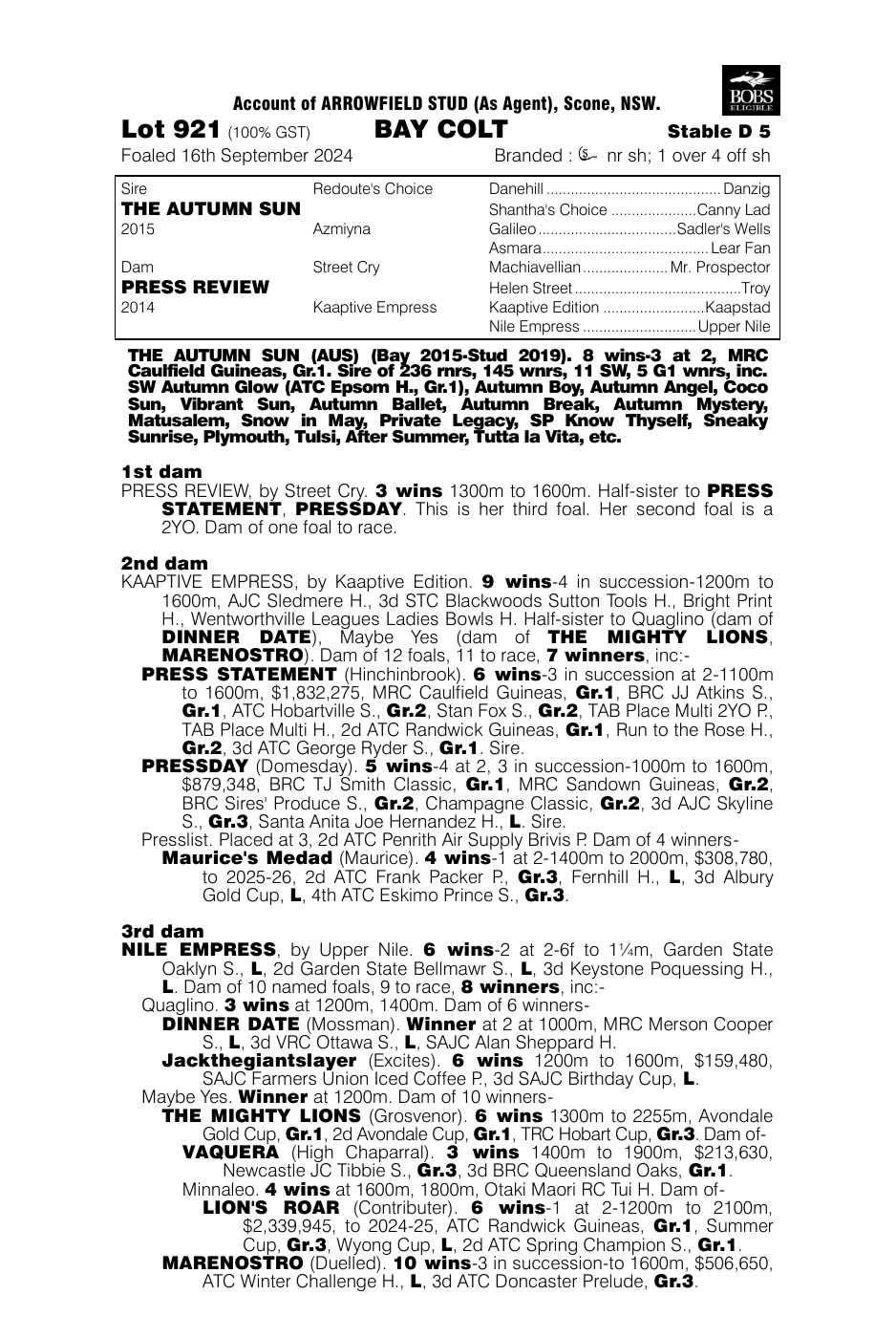 Pedigree - Lot 921