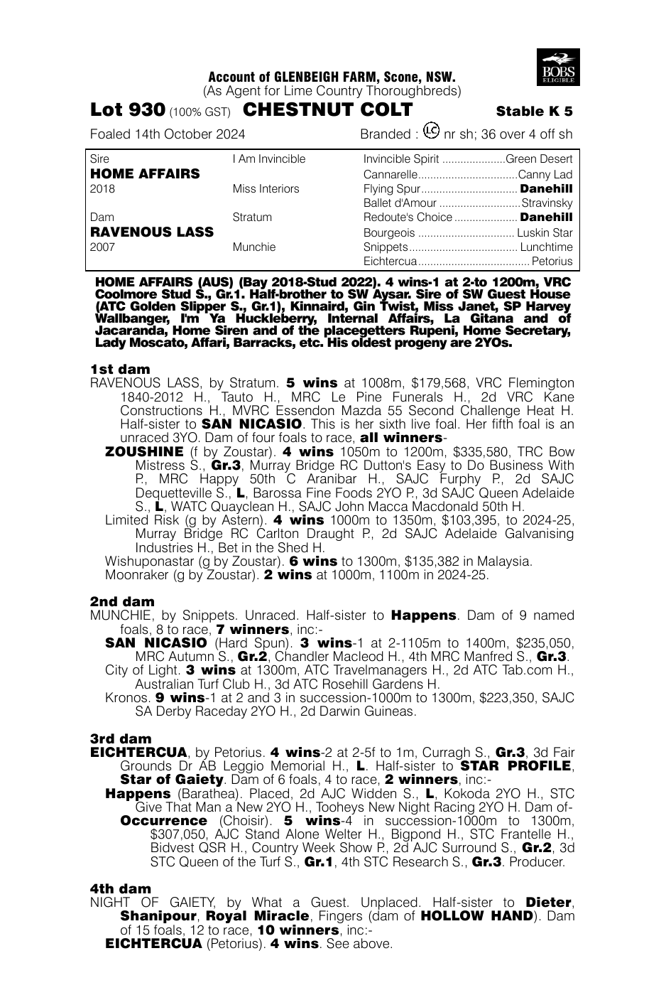 Pedigree - Lot 930