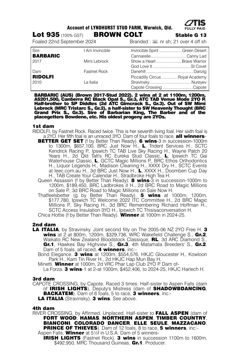 Pedigree - Lot 935